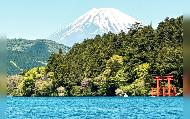 日本の旅路 ふるさとの物語 6 伊豆・東海/富士・箱根 伊豆】日本伊豆箱根深度富士山旅遊溫泉之旅| 上順旅行社