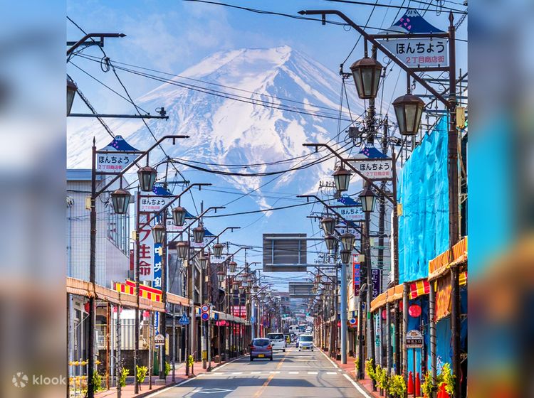 One day trip to Mount Fuji internet celebrity attraction
