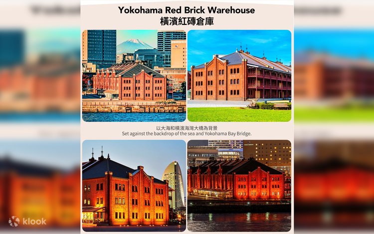 須郷様(幕張ミーグリ　説明欄) 詳細のお知らせ】7月21日(月・祝)開催 | ニュース | 日向坂46