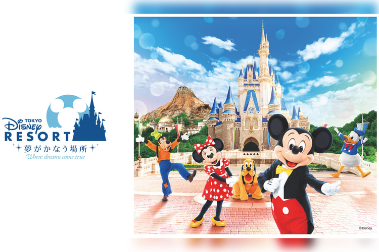 Tokyo Disney Ticket 2 Day Pass Disneyland Disneysea