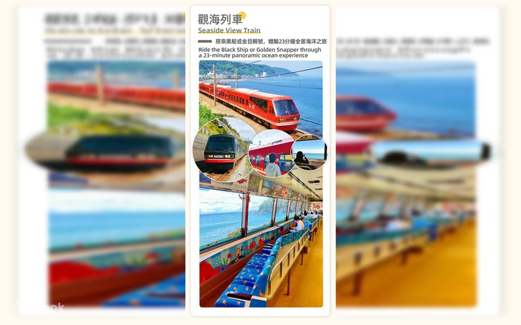 Izu Omuroyama & Cactus Zoo & Sea View Train Resort 21 & Jogasaki