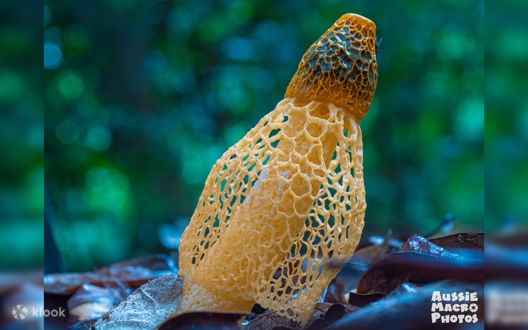 Chet el porno rasmlar Devordan chiqib ketgan ayolning eshagini sikish videosi