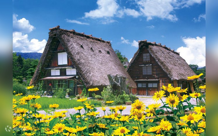 大阪発 2D 1N 金沢、白川郷、五箇山、高山ツアー | Klook