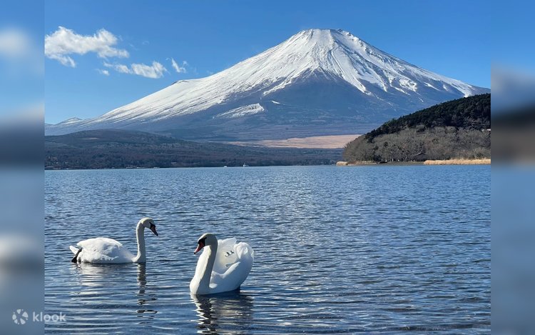 日本の旅路 ふるさとの物語 6 伊豆・東海/富士・箱根 富士山箱根日帰り旅行 | Klook