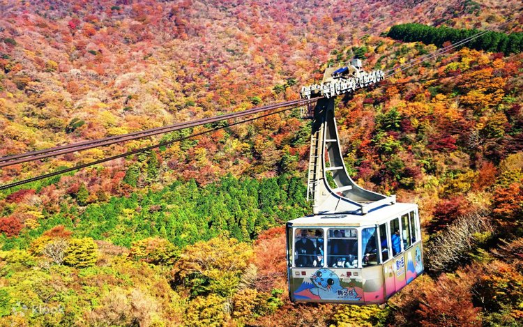 箱根駒ケ岳ロープウェイの割引往復乗車チケットを予約｜KLOOK