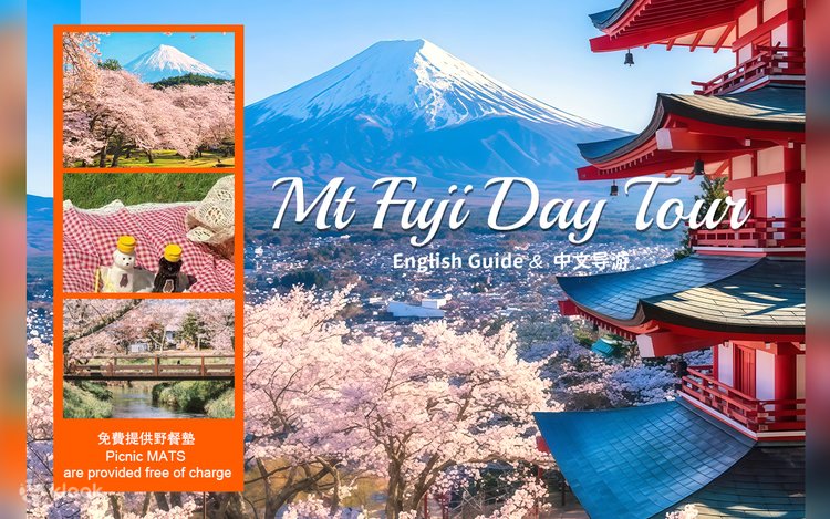 Sakura Limited] Mt. Fuji Cherry Blossom Viewing Day Tour