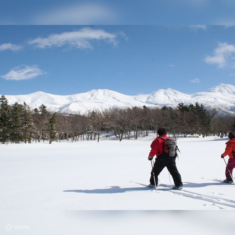 北海道の山 (ヤマケイアルペンガイド) | 伊藤健次 |本 | 通販