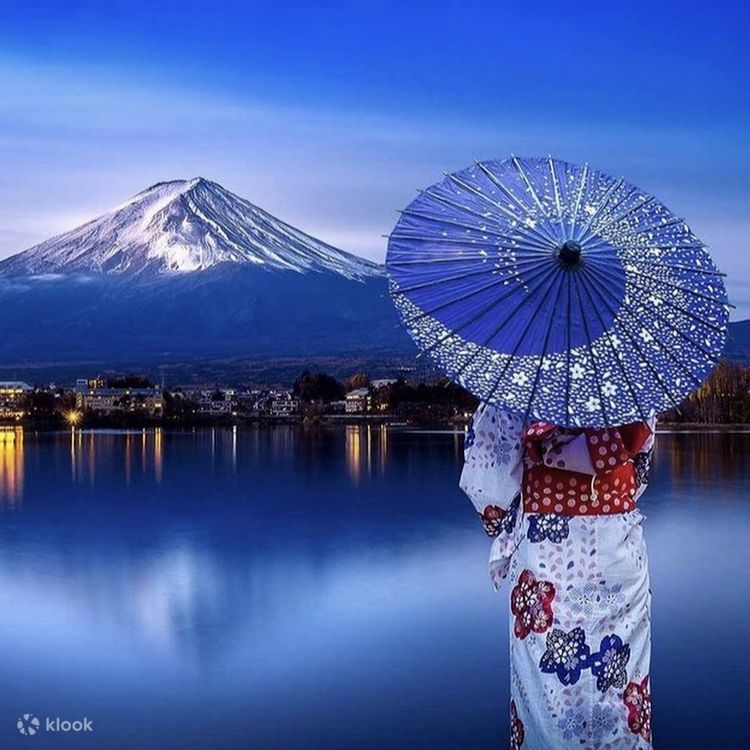 富士山小太郎 東京マイカーチャーター │ 富士山・河口湖・忍野八海のネット