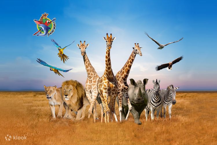 Vé Safari World Bangkok, Thái Lan - Klook Việt Nam