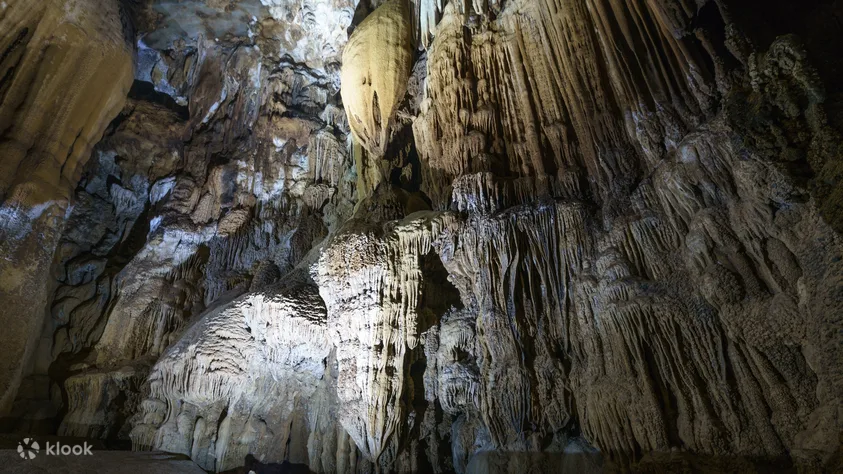 1 Day Trekking Tour: Elephant Cave & Ma Da Valley Jungle Trek
