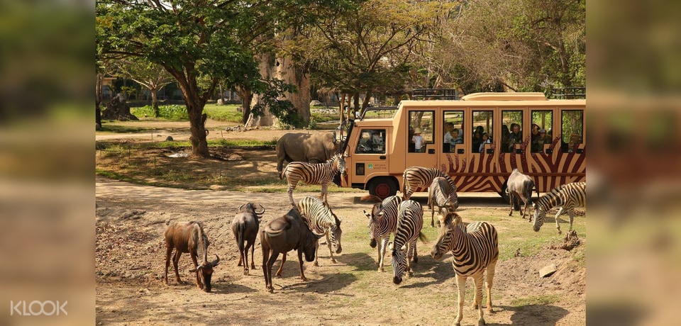 Bali Safari and Marine Park Tickets (Domestic Rate) in ...