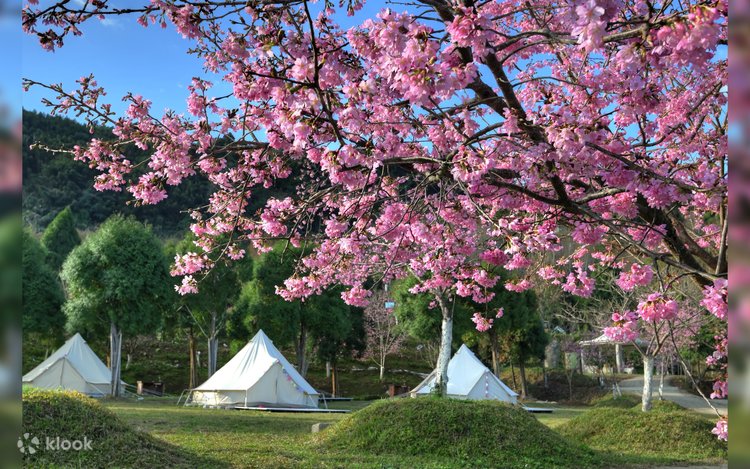 グランピングおすすめ】新竹 恋上喜翁 グランピング | Klook