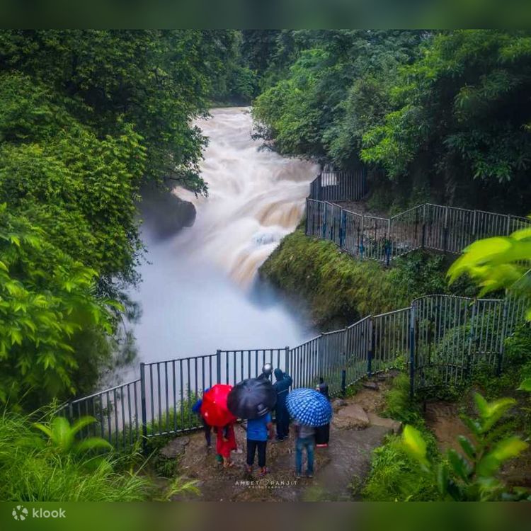 Davis Falls