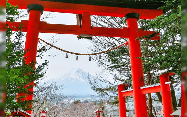Mount Fuji Lake Kawaguchi Cable Car & Aerial Swing