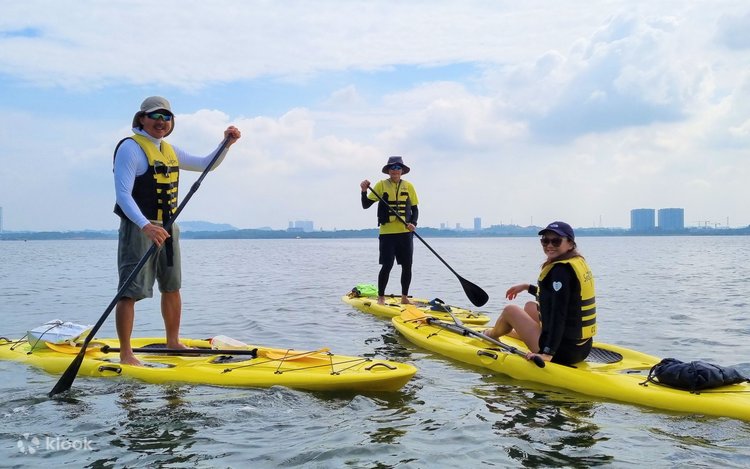 Paddling ,海カヤック遊び,sea kayaking,surfing Paddling ,海カヤック遊び,sea kayaking,surfing What is sea