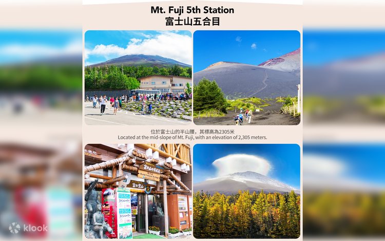 富士山2枚含むAPACランド5枚 2025年最新】mtg 富士山の人気アイテム - メルカリ