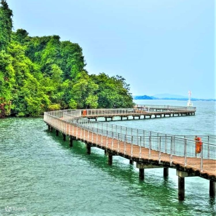 Rustic Ubin and Wetlands Tour in Pulau Ubin and Chek Jawa - Klook