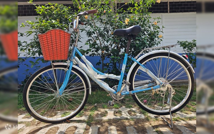 Kong REAR BIKE LIGHT 11点セット 6-18-2 Kong REAR BIKE LIGHT 11点