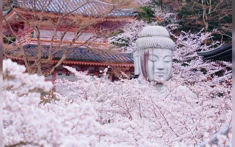 Mount Wakakusa, Nara Park, and Todai-ji Temple (Great Buddha
