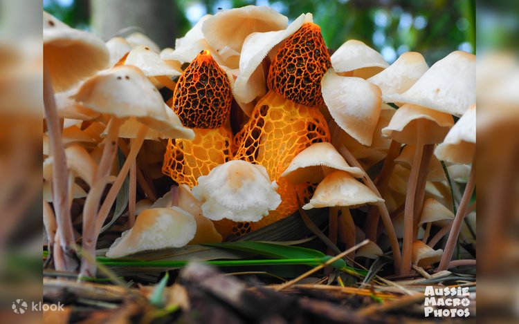 Onlayn ichki kiyimdagi gozallar bilan porno tomosha qiling