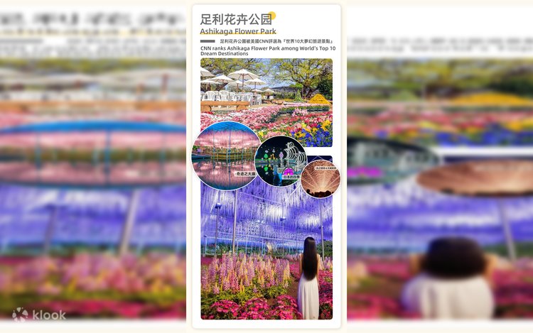 藤物語＆蝶の海】あしかがフラワーパーク 夜の藤と茨城県立海浜