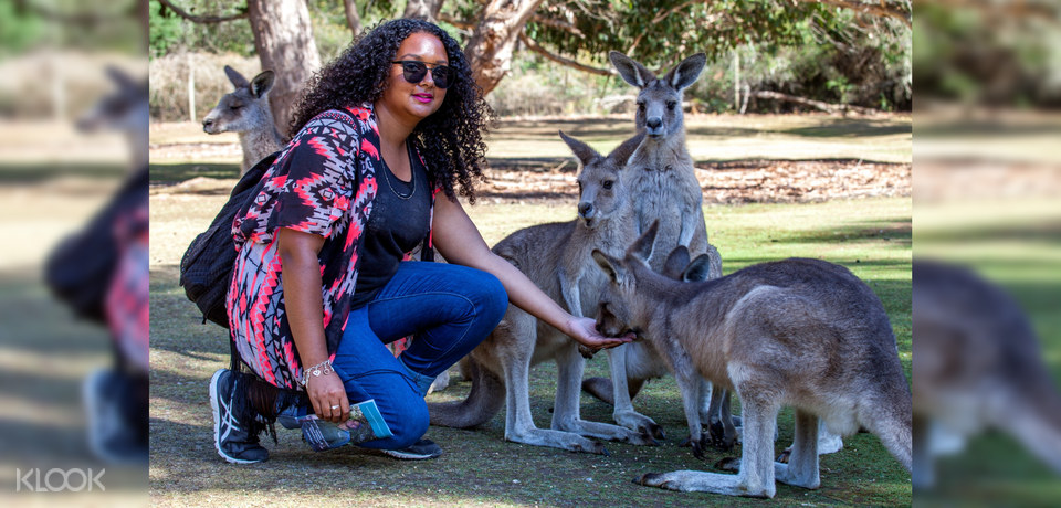 Port Arthur and Tasmanian Devils Day Tour from Hobart ...