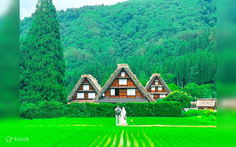 世界遺産「白川郷」と飛騨高山を巡る日帰りツアーの予約 (名古屋
