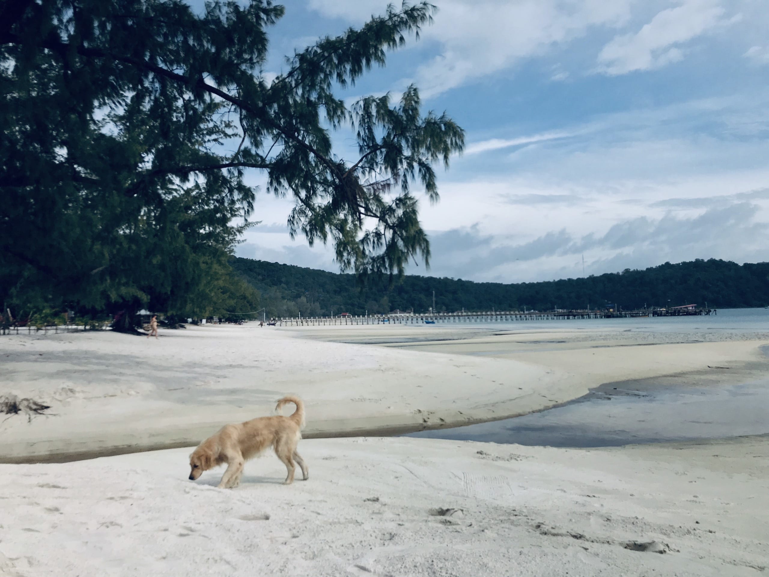 Koh Rong Samloem: Đảo hòn non bộc bạch và biển xanh trong của Koh Rong Samloem sẽ khiến bạn tan chảy trong sự thư giãn. Cùng xem hình ảnh để thấy sự trùng xuống thần tiên của đảo đẹp này.