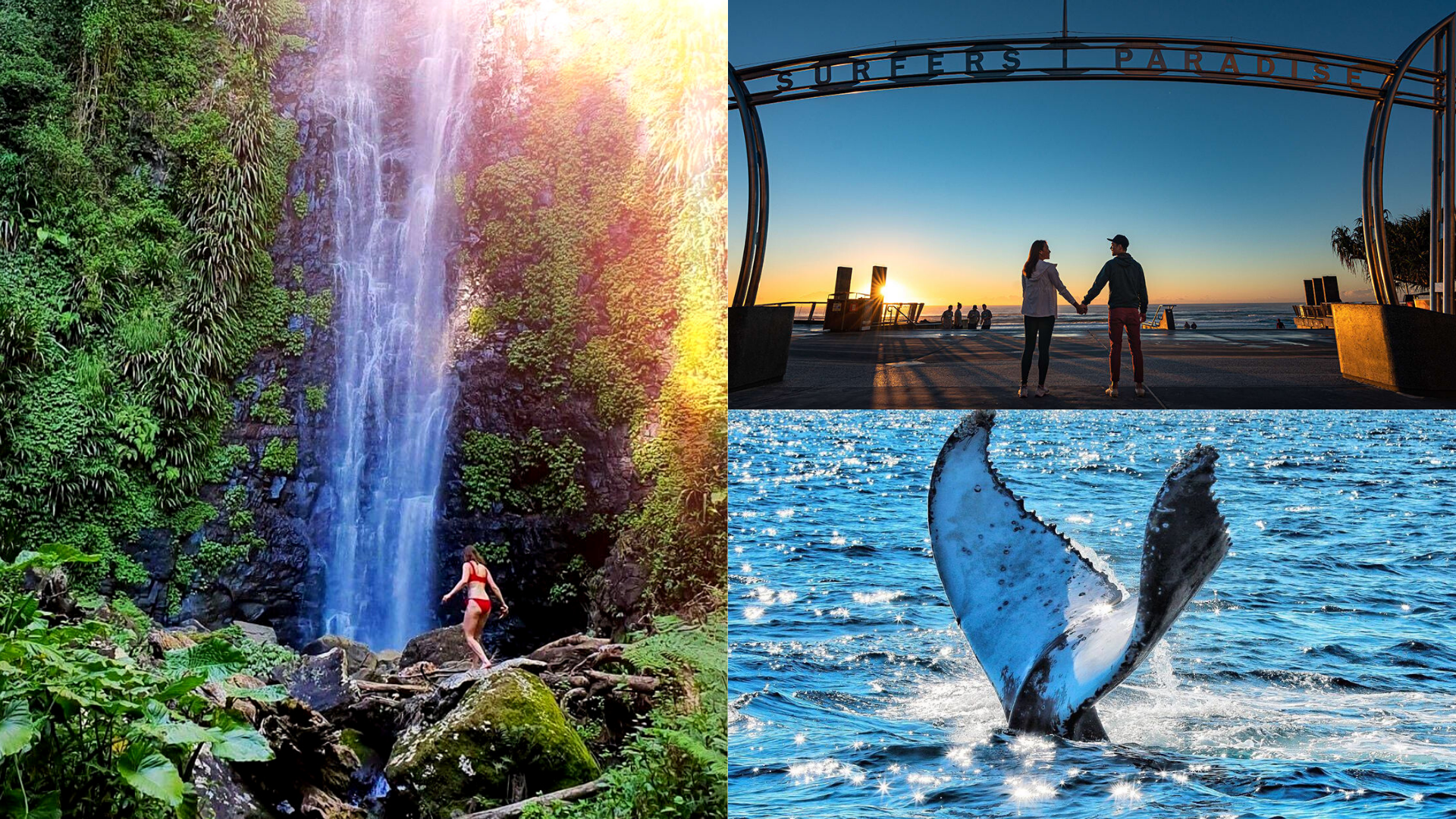 Reasons Gold Coast And Brisbane Are Post-Pandemic Dream Destinations - Klook Travel Blog