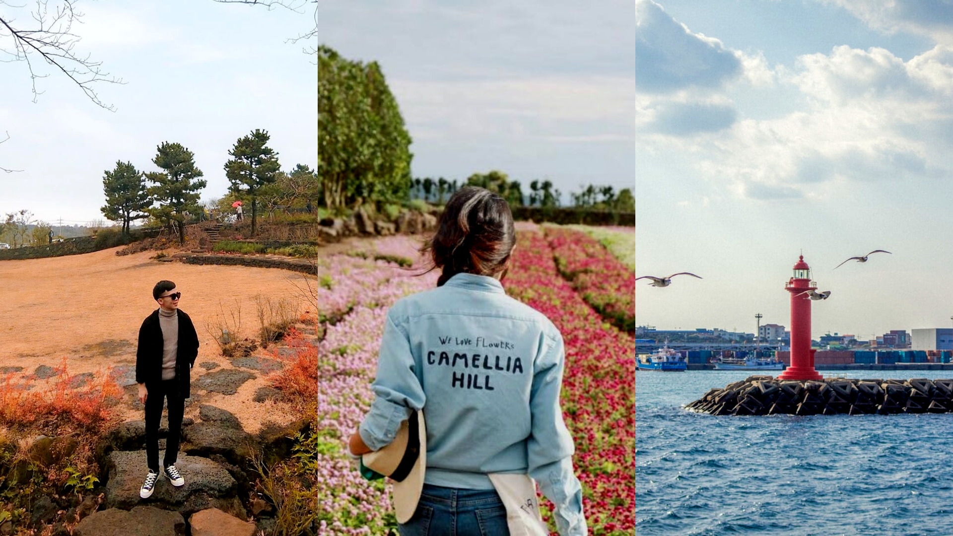 Here Are 10 Postcard-Perfect Reasons Why You Should Travel To Jeju