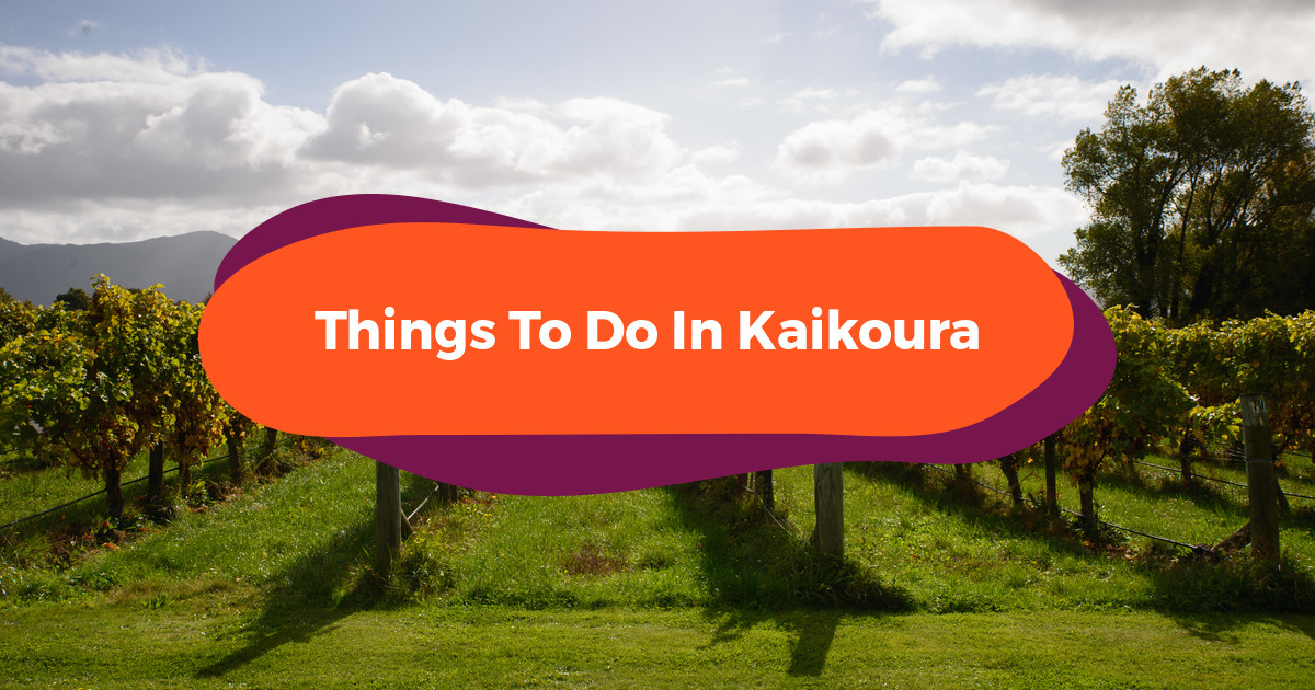 10 Things To Do In New Zealand’s Kaikōura: Soul-Stirring South Island Adventures