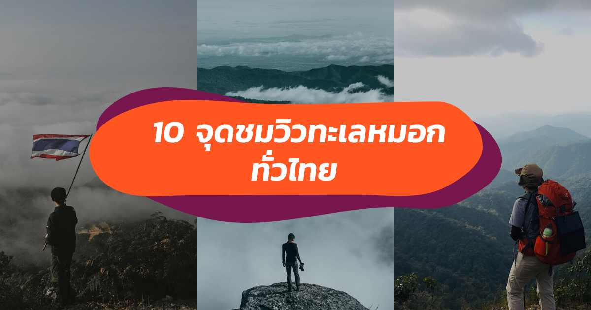 คิดถึงเขา ก็ไปหาเขาสิ! รวม 10 จุดเช็คอินแตะขอบฟ้า ชมทะเลหมอกบนยอดเขาทั่วไทย