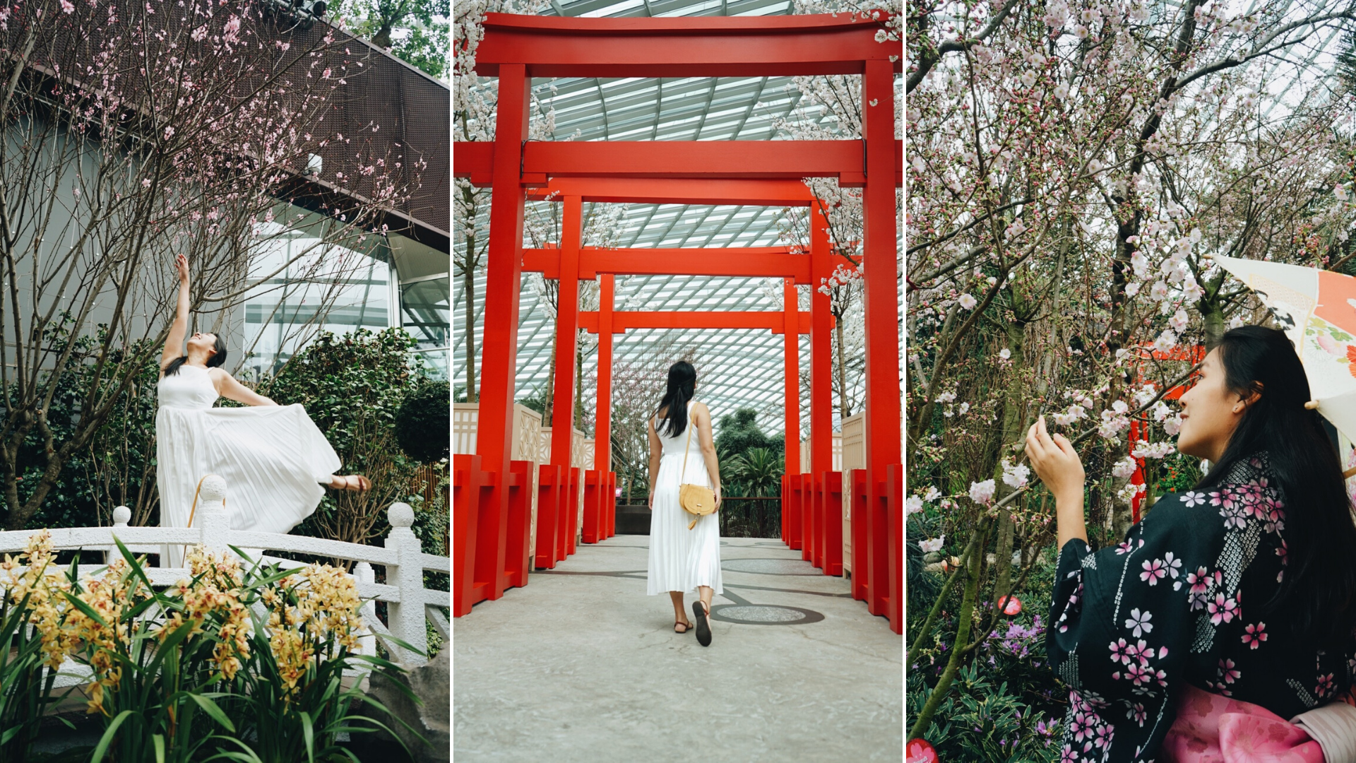 Catch The Cherry Blossoms In Singapore At Sakura Matsuri In Gardens By