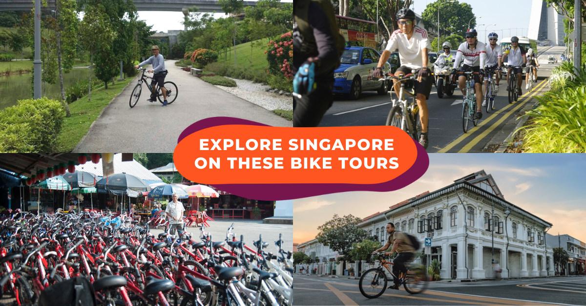 bike tours for singles