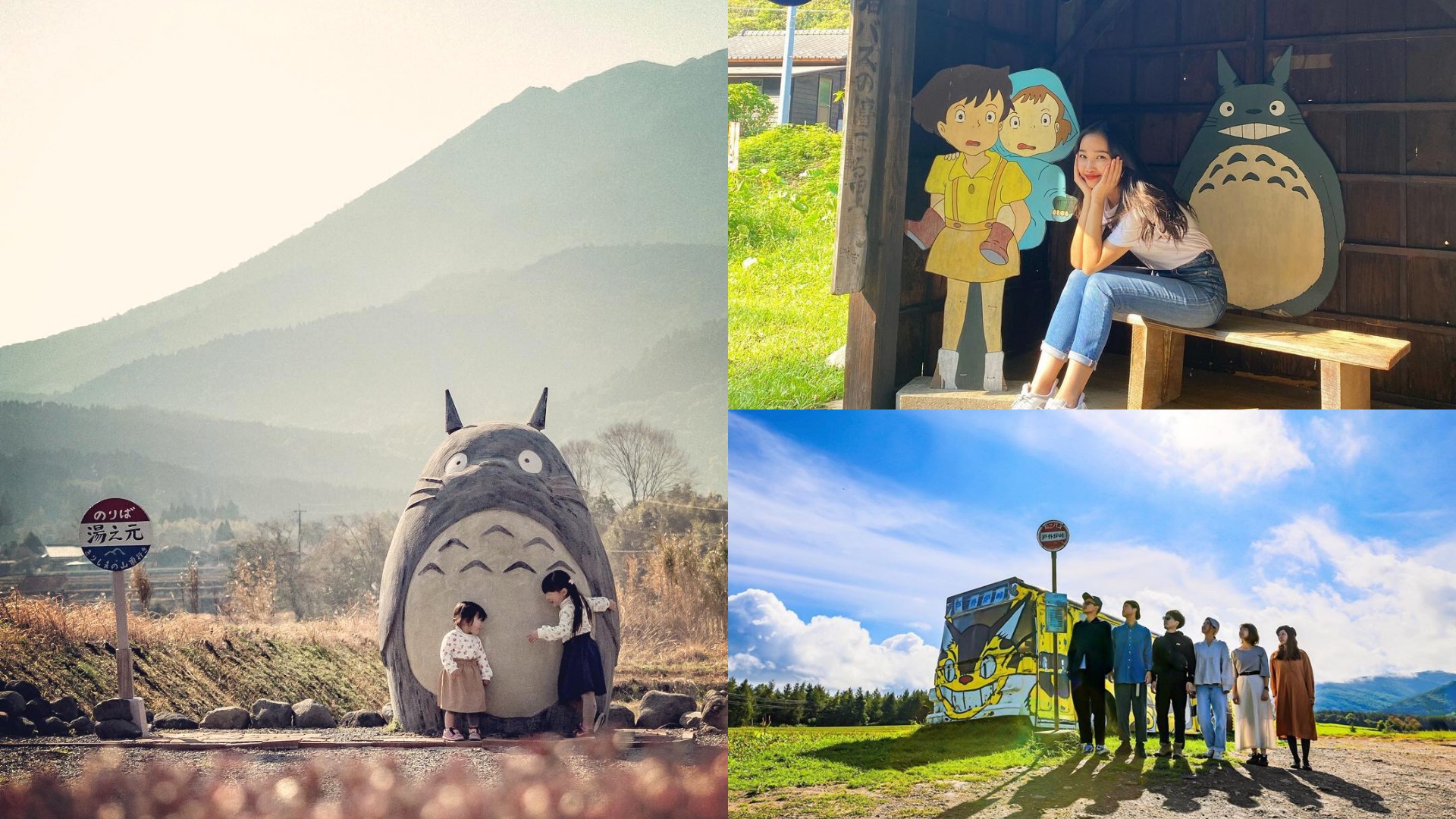 8 Adorable TotoroInspired Locations Studio Ghibli Fans Can Visit In