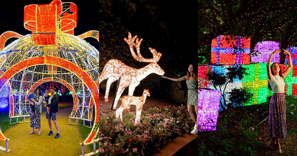 A Sneak Peek into the Christmas Lights Spectacular at the Hunter Valley