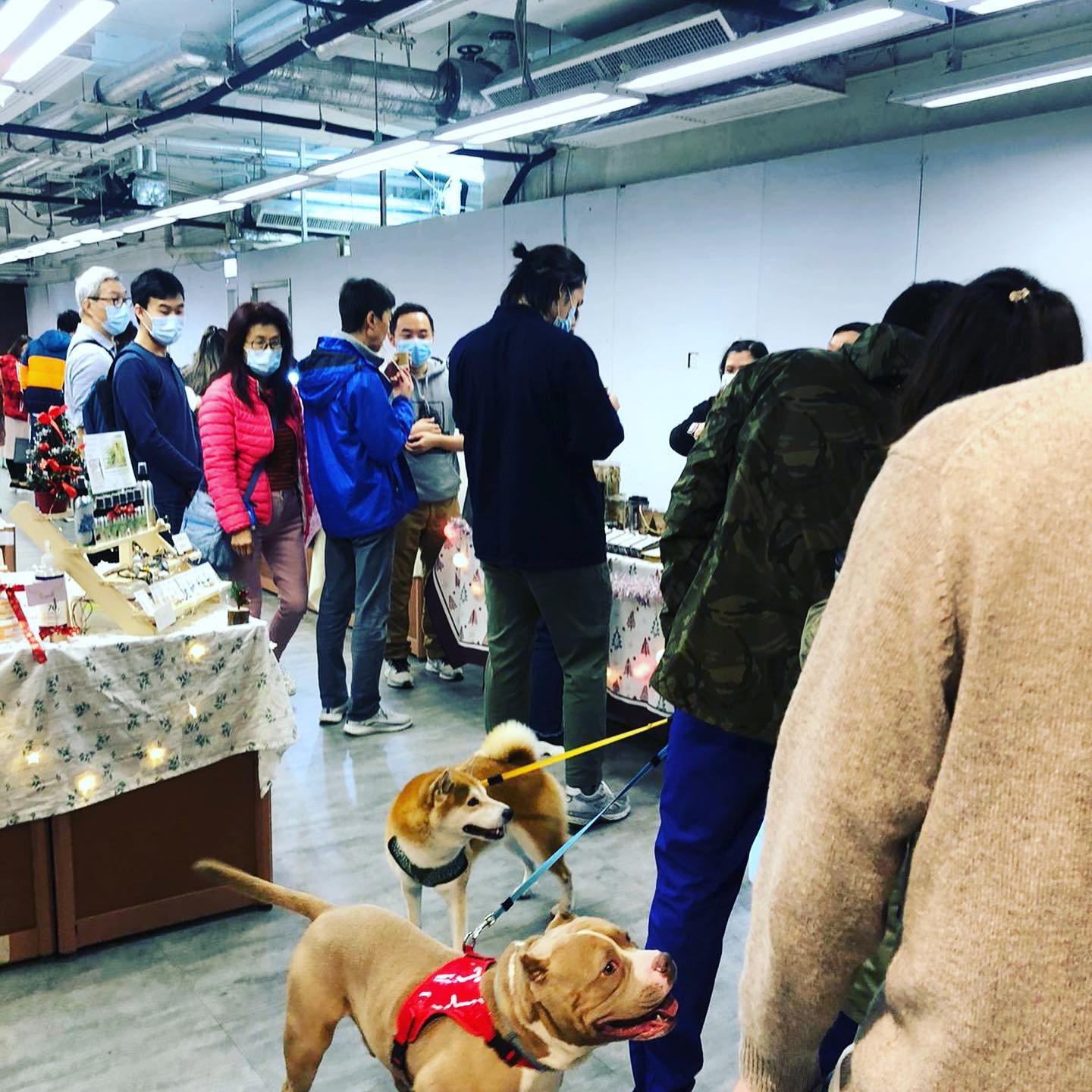 133552682_2682503955413485_9001617888397277311_o