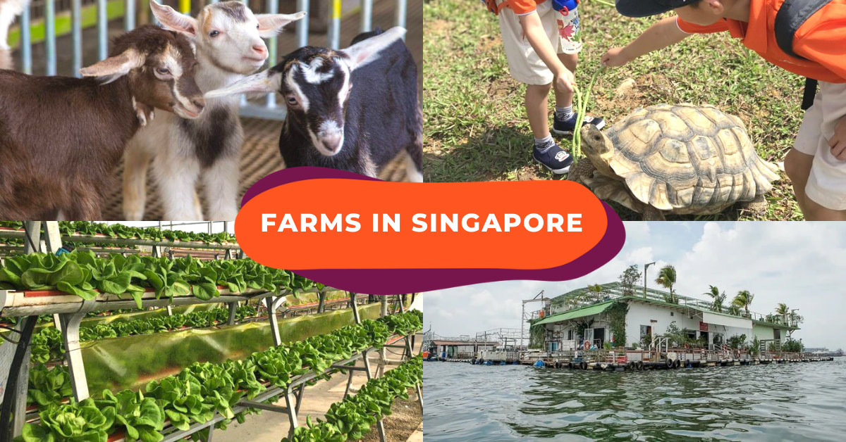 farm tour singapore