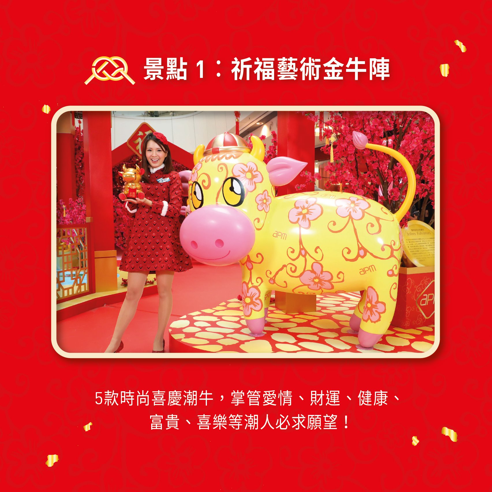 143643220_10157840769521905_6270422431391778260_o