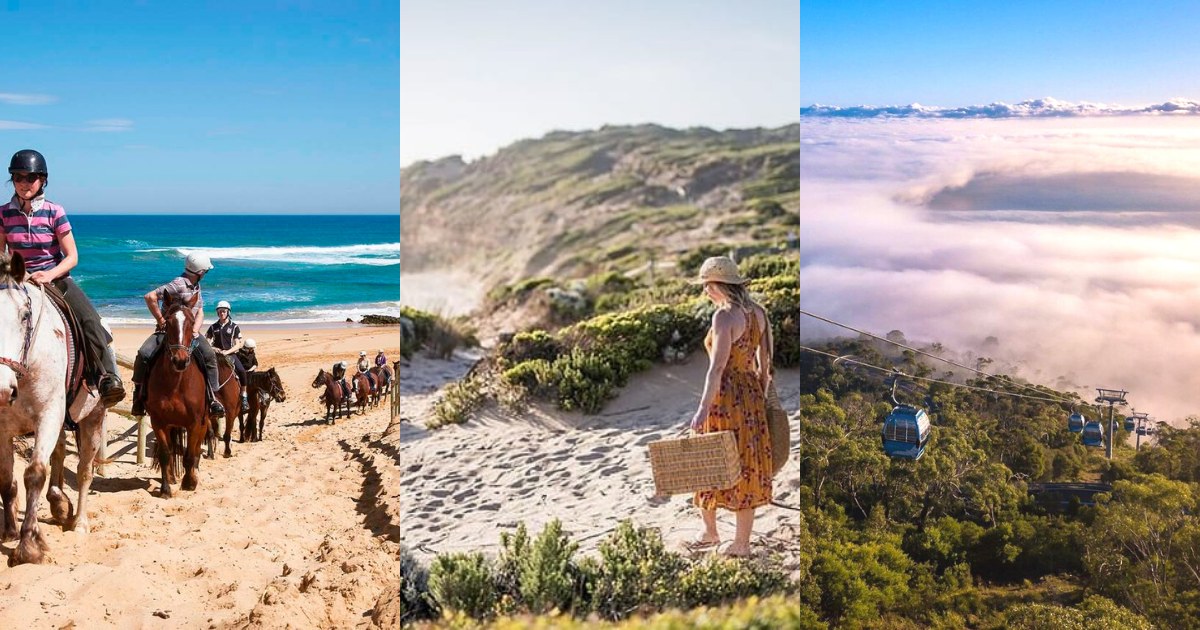 The 8 Best Things to Do in Mornington Peninsula on the Weekend Klook
