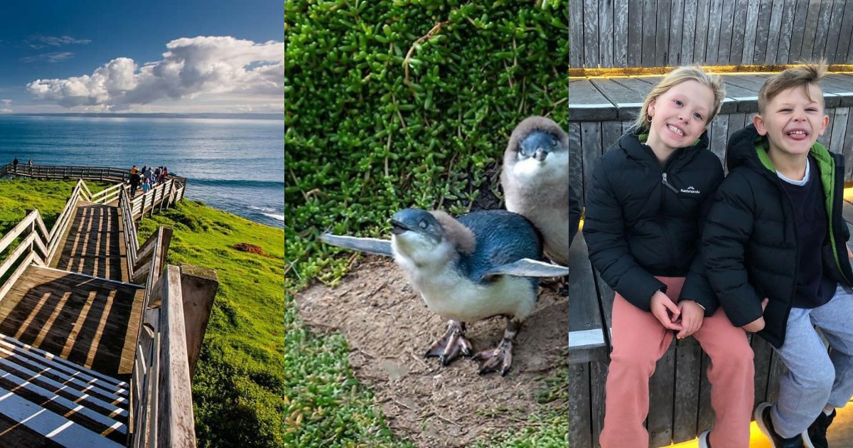 How To Make Sure You See The Penguins On Phillip Island Klook Travel Blogklook Travel