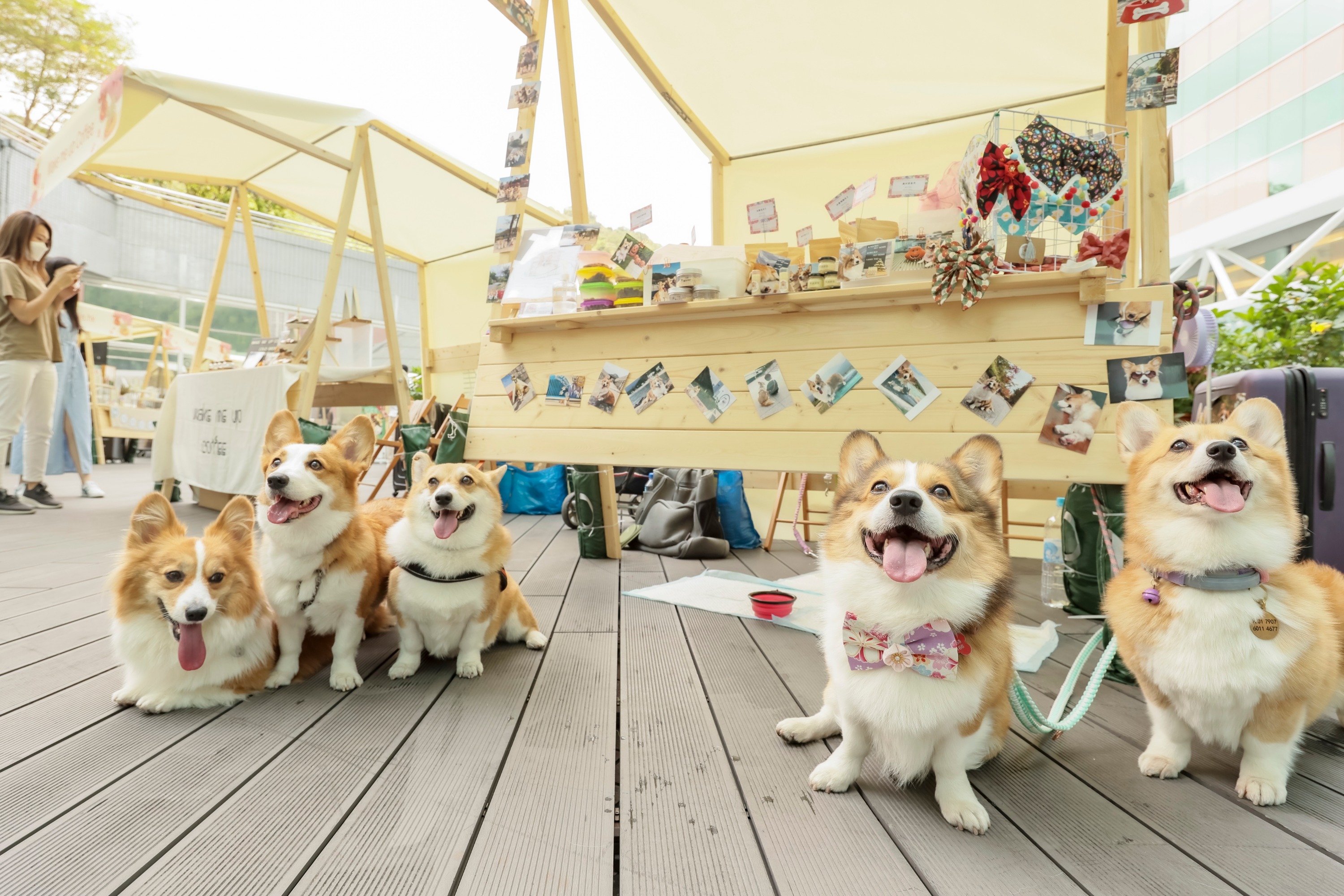 HomeSquare呈獻《寵物 ‧ 家 ‧ 市集》_6