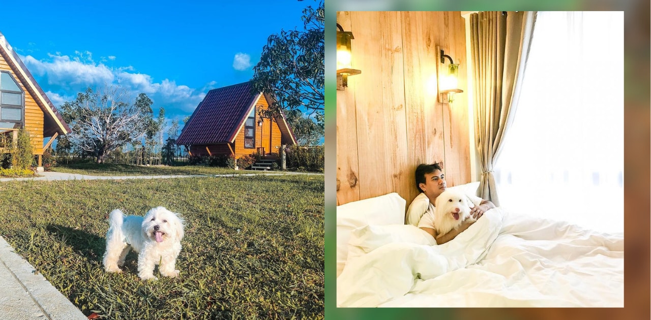 11 Pet Friendly Resorts Near Manila For A Purr fect Getaway Klook