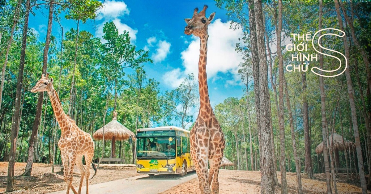 Thế Giới Động Vật Muôn Màu Ở Vinpearl Safari Phú Quốc - Klook Blog