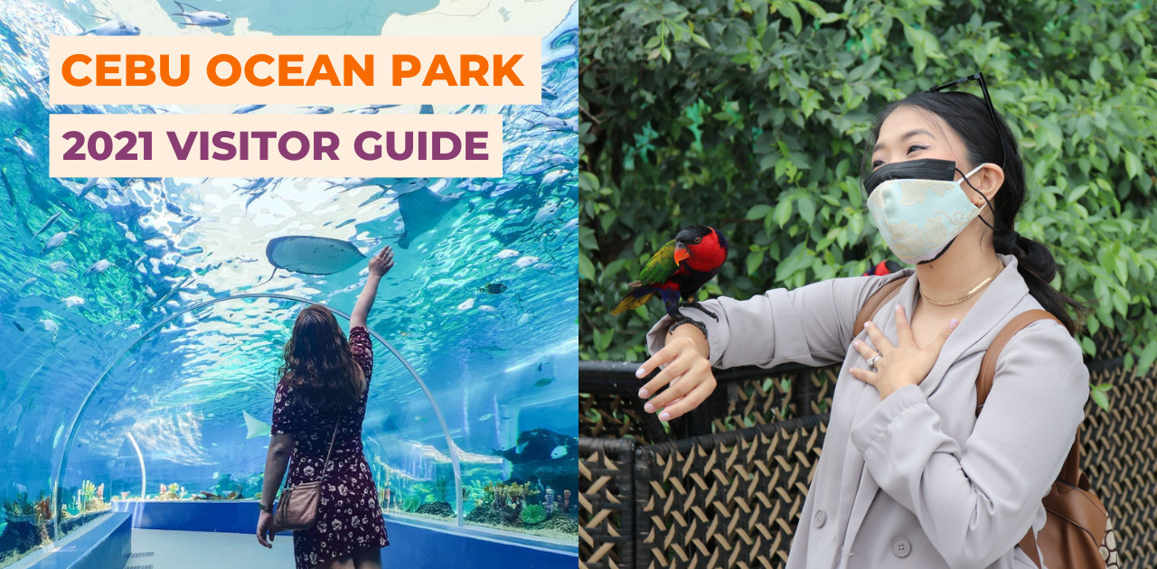 What You Need to Know Before Visiting Ocean Park Cebu Entrance Fees