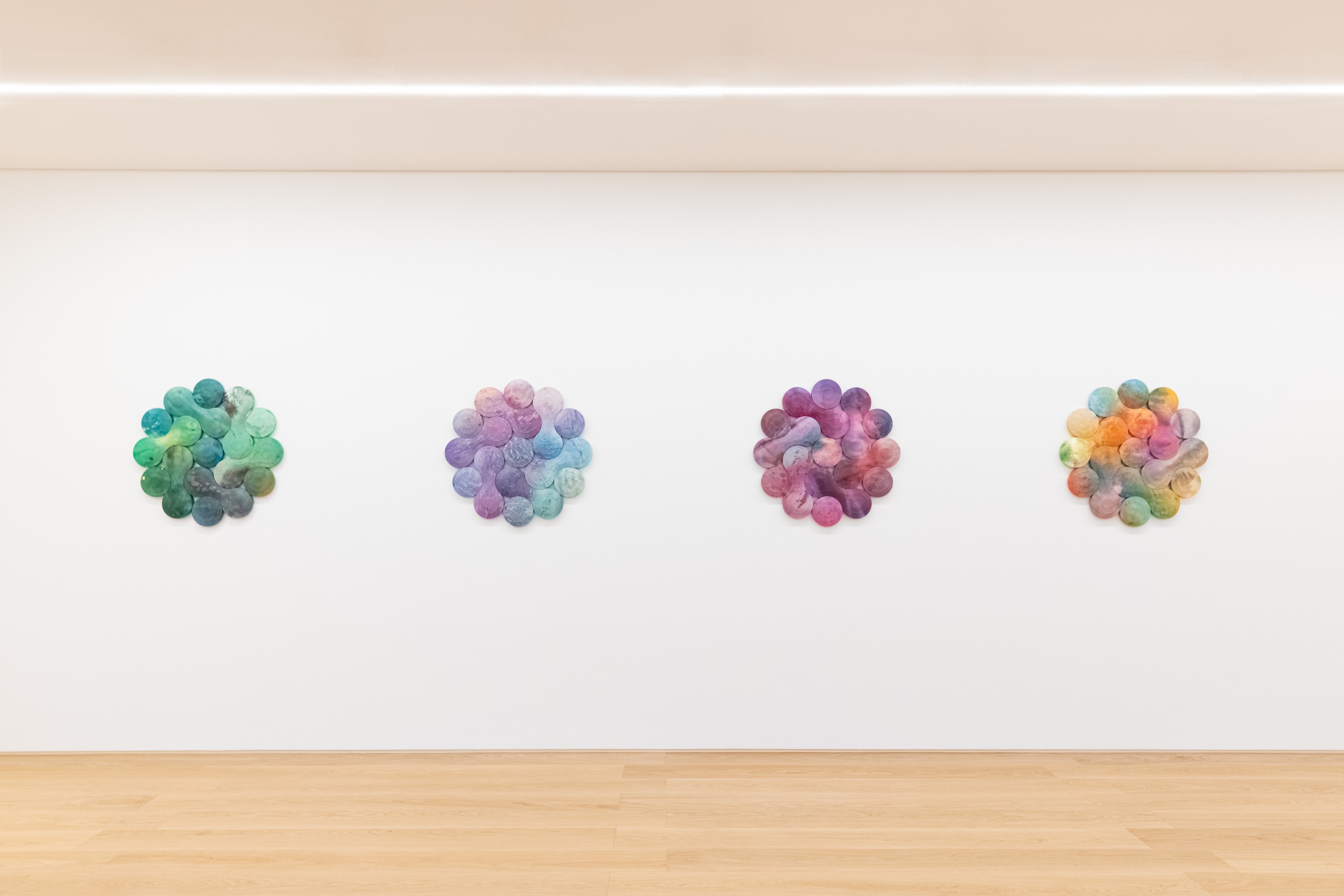 Josh Sperling Spectrum 5