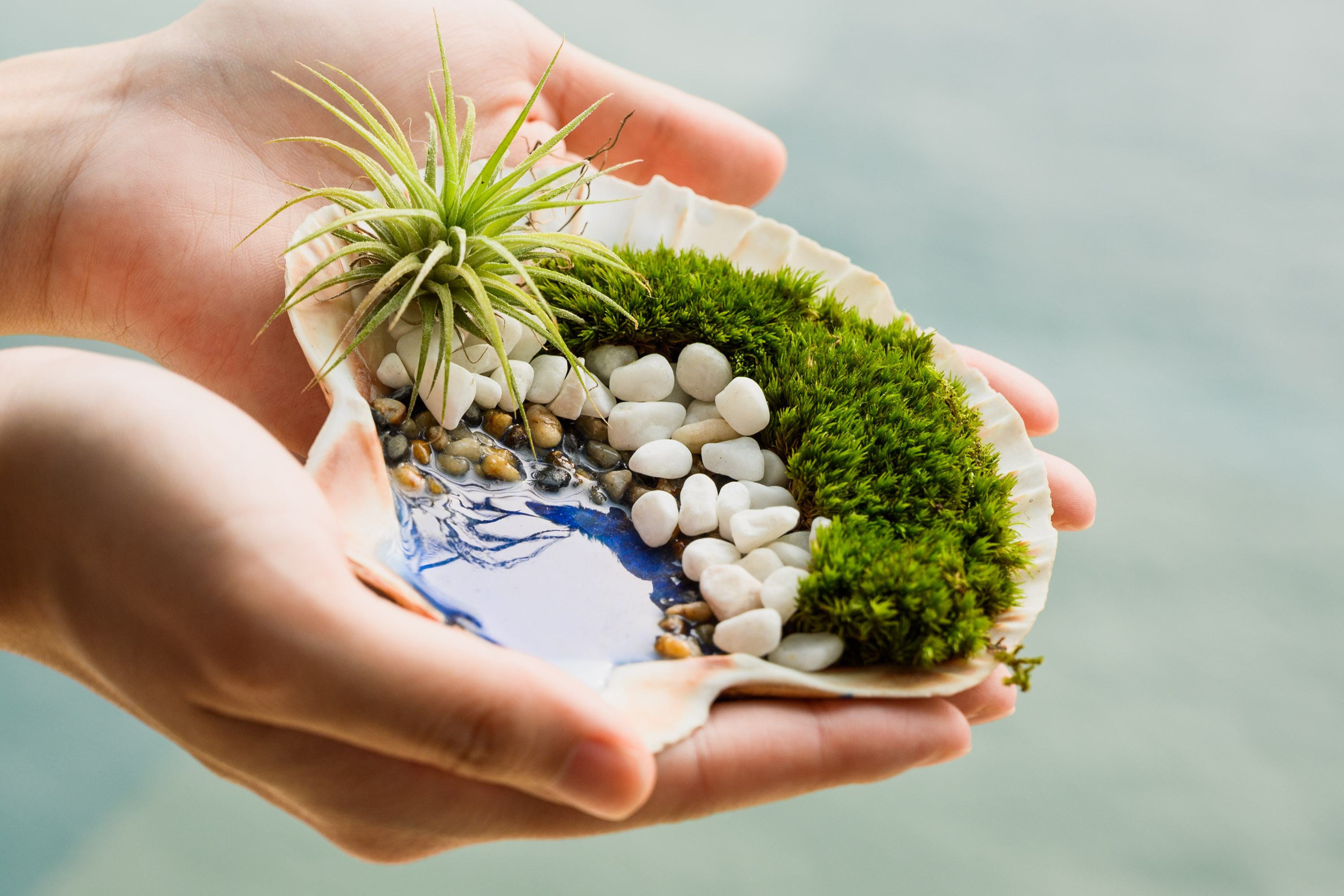 tdmjszuj3ub0ib9obaja