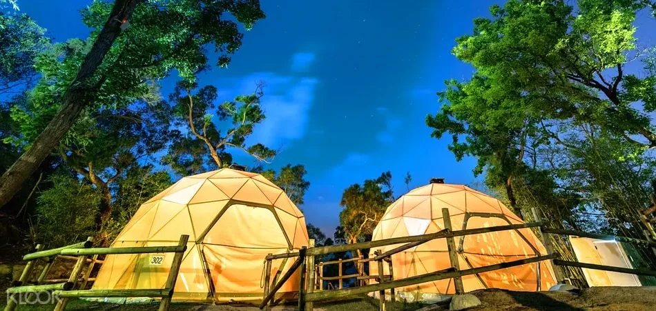 夜晚戶外營地，兩個大型圓頂幾何帳篷被燈光照亮，四處被樹林圍繞，天空清澈見星。