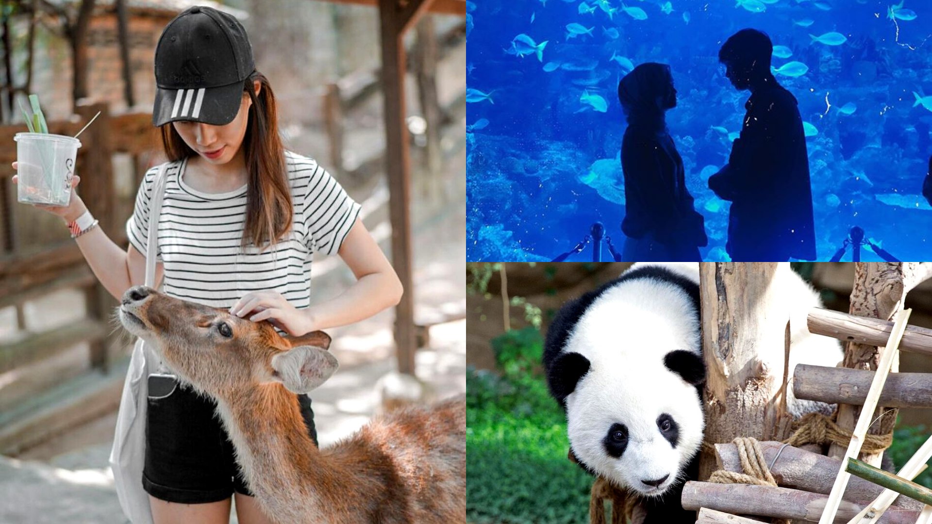 8 Best Outing Spots For Animal Lovers In Kl Selangor Zoos Farms Parks More Klook Travel Blogklook Travel