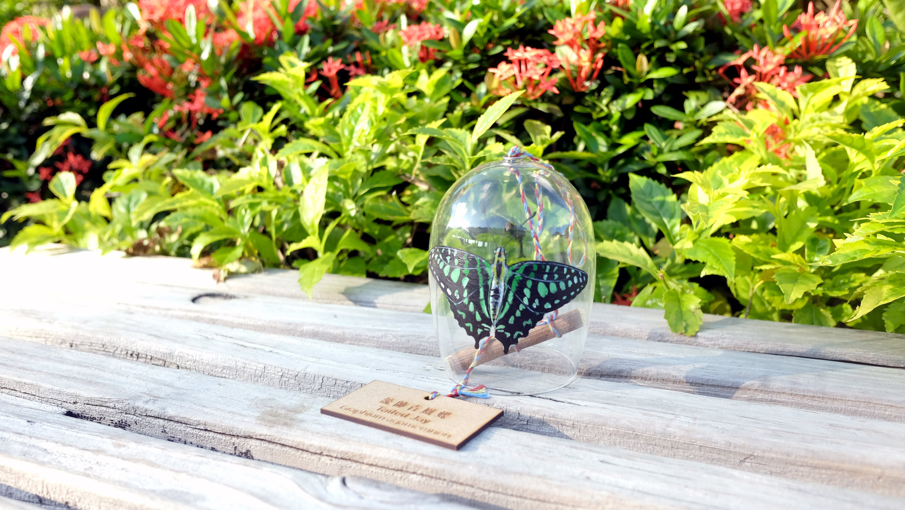 214366664_364325615037765_7179958325913551721_n